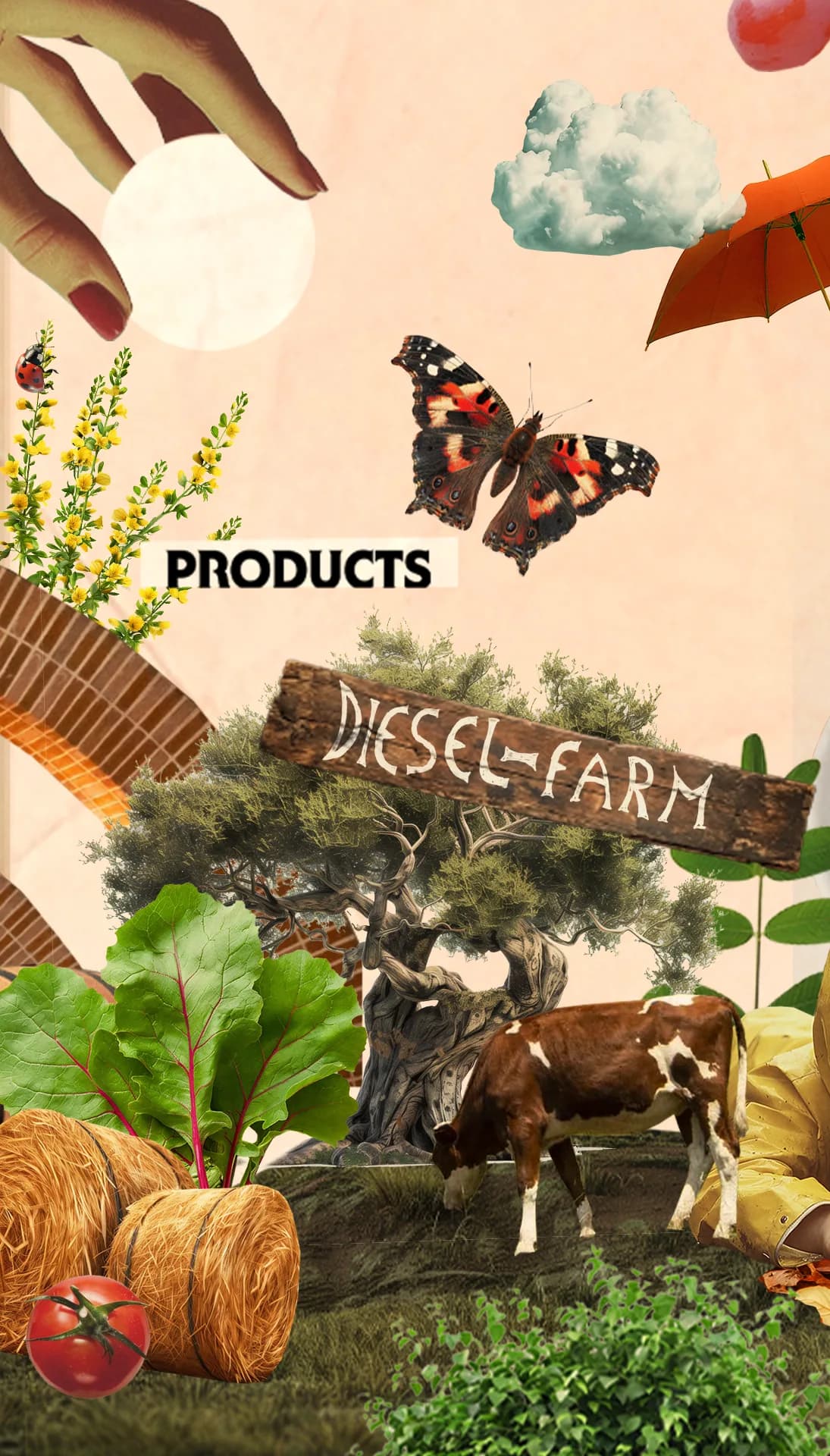 Celebrating 55 - Diesel Farm